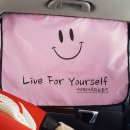 미르카센타 이미지