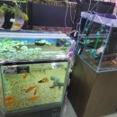 농협본점 이미지