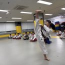 용인대행복한태권도장 이미지