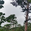 백두목장 이미지