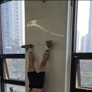 크로스핏 프릭 이미지