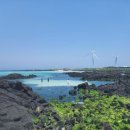 김녕관광지 이미지