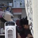 디오레 포메라니안 이미지