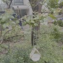 잼컨 총량의 법칙