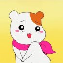 모아컴퓨터 이미지