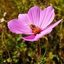 중화역2번출구 이미지