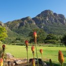 케이프타운 이미지