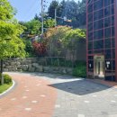 GTI태권도 이미지