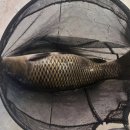 어썸 실내낚시카페 이미지