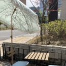 (더아란)The ARAN 네이버블로그