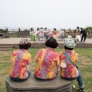 알로하제주 이미지