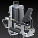 라라휘트니스 이미지