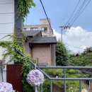 아모르하우스 이미지