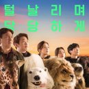 진흥 에이스 이미지