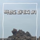 까나리여행사