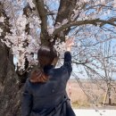 백구소공원 이미지