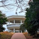 망마경기장 | 여수 망마산 정상 팔각정 동백꽃 개화