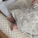 신생아선물 고민 끝! 하베브릭스 바람개비 아기체육관 사용 후기