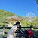 금오산로2-5 이미지