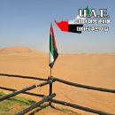 11500-6-20-10 | 두바이 여행 필수 준비물 데이터 이심 추천 링심 esim 후기