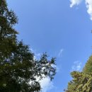 와동제1공원 1구역 화장실 | 고양시 가을 피크닉 성라피크닉장 취사 가능 공원 캠크닉 후기