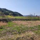 공설전천후게이트볼장 | 유기상 고창군수후보, 파크골프천국 높을고창만들기 진심공약