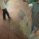 어우라 - 8660 | 복실이 강아지와 여름나기