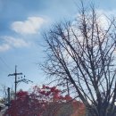 치킨마을 | 맘스키친, 뤼도 발루즈, 희작, 세종마을치킨 다녀온 후기 (부암동~경복궁역 데이트 코스, 내돈내산)