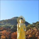 속리산 법주사 이미지