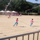 도암초등학교 이미지