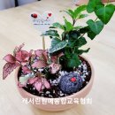 부천대명초 이미지