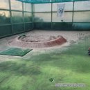 대아골프연습장 이미지