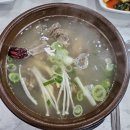 논산 연무대 논산 ic 부근 맛집 일품 양평 해장국 다녀온 후기