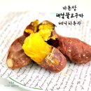 해남군-14 | 해남꿀고구마 특상, 해풍 맞은 베니 하루카로 에어프라이어 고구마