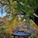 서원부동산중개법인 이미지