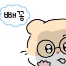 와플대학노원역캠퍼스