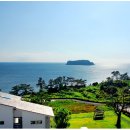 블루펄리조트 이미지