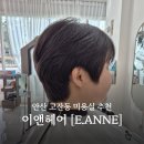 한양대학로3 | 안산 고잔동 미용실 숏컷 맛집 이앤헤어[E.ANNE] 후기