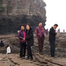 향동초등학교 이미지