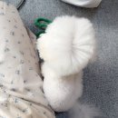 일일육커피 | 🎱월 정산.zip