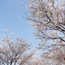 안산시 장애인 이동기기 수리센터 이미지