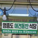 클럽피오시 | 인천공항애견동반식당 클럽72맛집 해상궁 낙지볶음 한상 후기