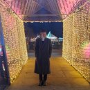 초롱타운 | [광화문 가볼만한곳] 서울빛초롱축제 &amp; 광화문 마켓 방문기ㅣ2025 일정까지