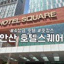 크로커다일레이디안산한대점 | 4성급 호텔 [안산 호텔스퀘어]숙박 리뷰