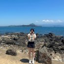 바이탈사인 | VITALSIGN 바이탈사인 플라워 자카드 리본 퍼프 블라우스 후기(착샷0)