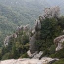 재단법인 대선공익재단 이미지