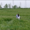 김태연농장 이미지