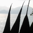 그림조경