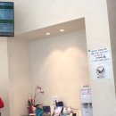 김현태김동민 동물의료센터 | 과잉진료 없고 합리적인 가격...(저렴한 가격) 정말 좋은 사하구 다대포 낫개 김현태김동민 동물병원