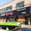 사파동300 이미지